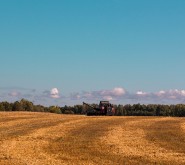 _MG_3063.JPG